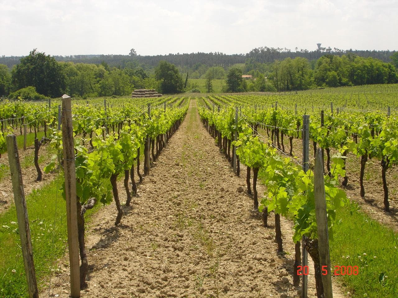 Château Siffle Merle
