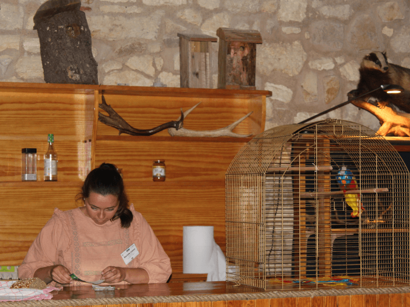 Escape Game - Terres d'Oiseaux / 800x600