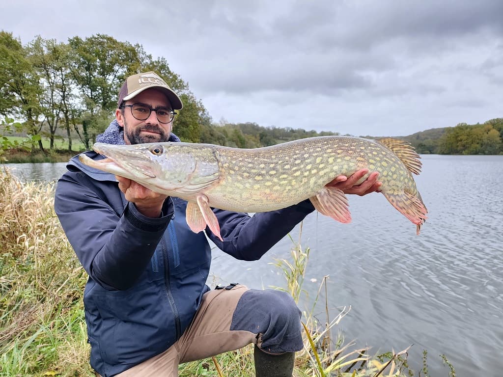 Brochet