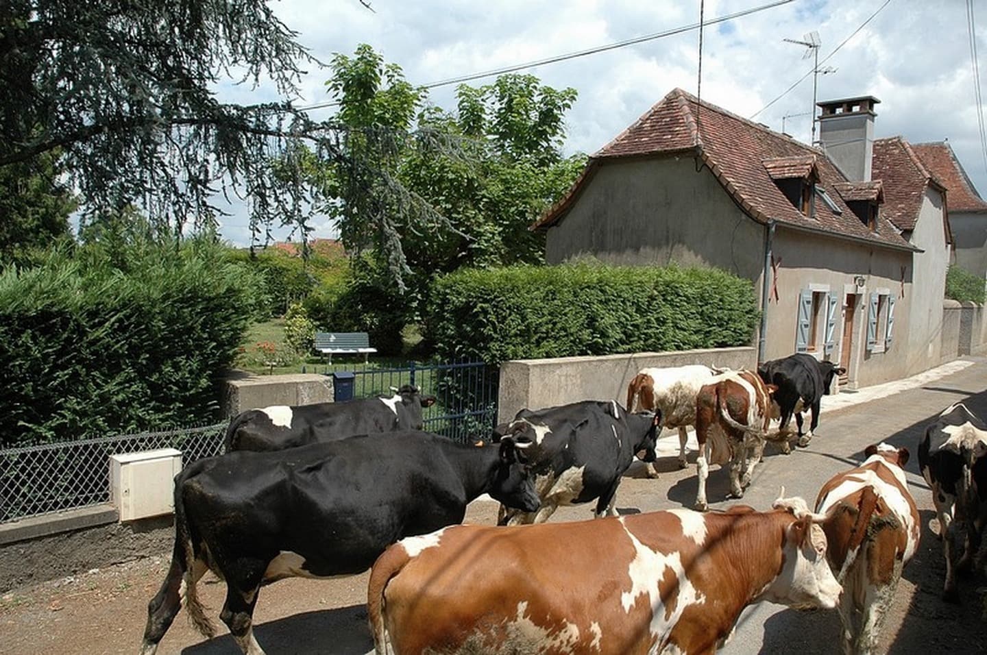 1-Gite-Sarsiat-