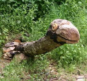 Les sculptures du parc