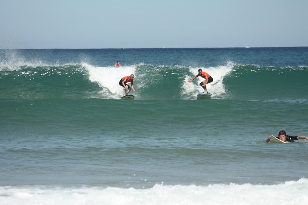Surf univers-OTILAS