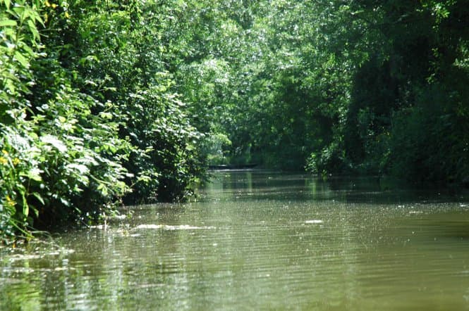 La Venise Verte