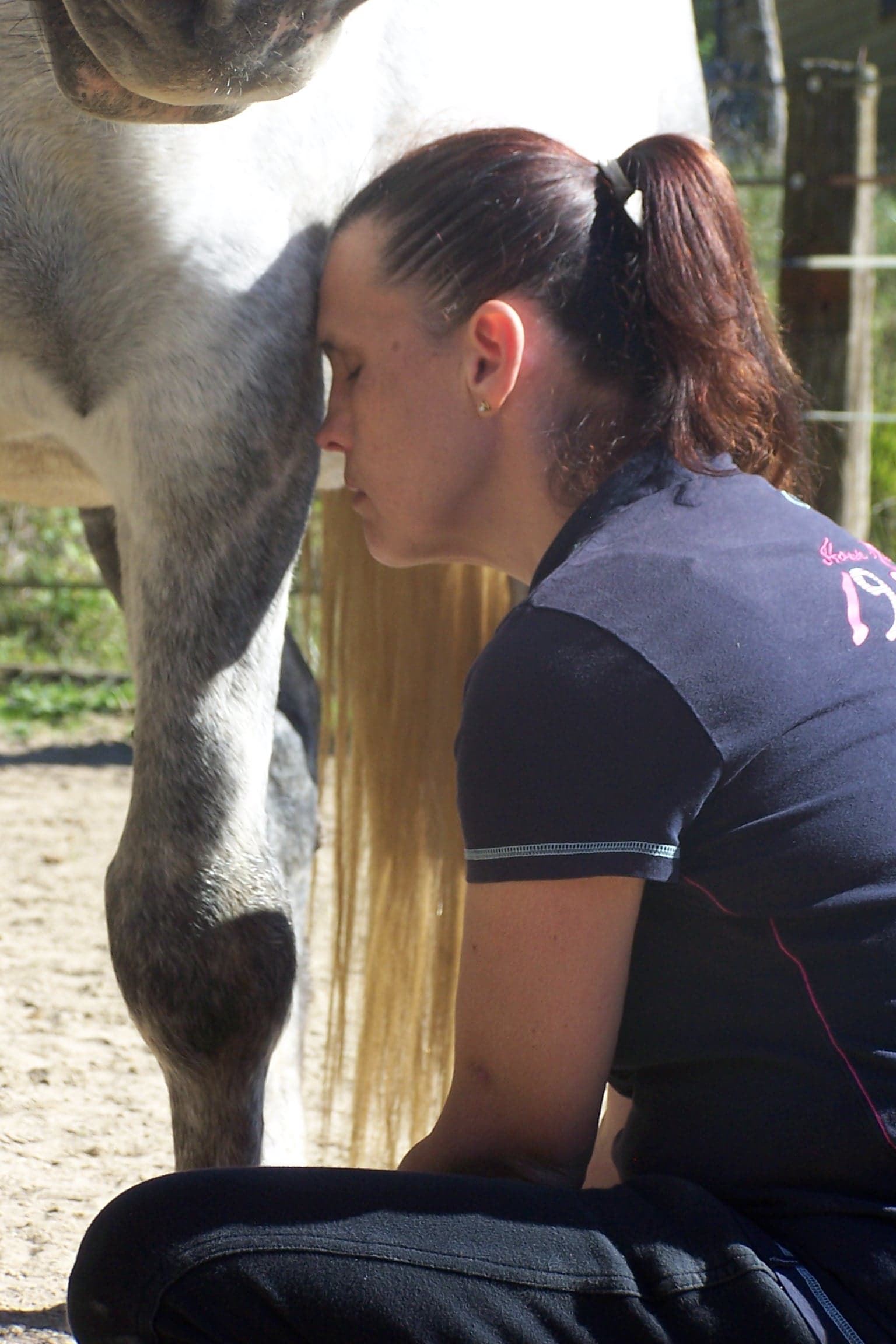 st-damien-atelier-equi-zen