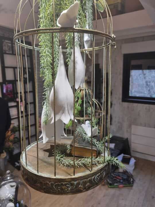 1000000158_720