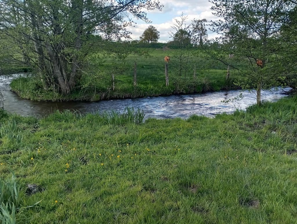 Le Chant du Merle