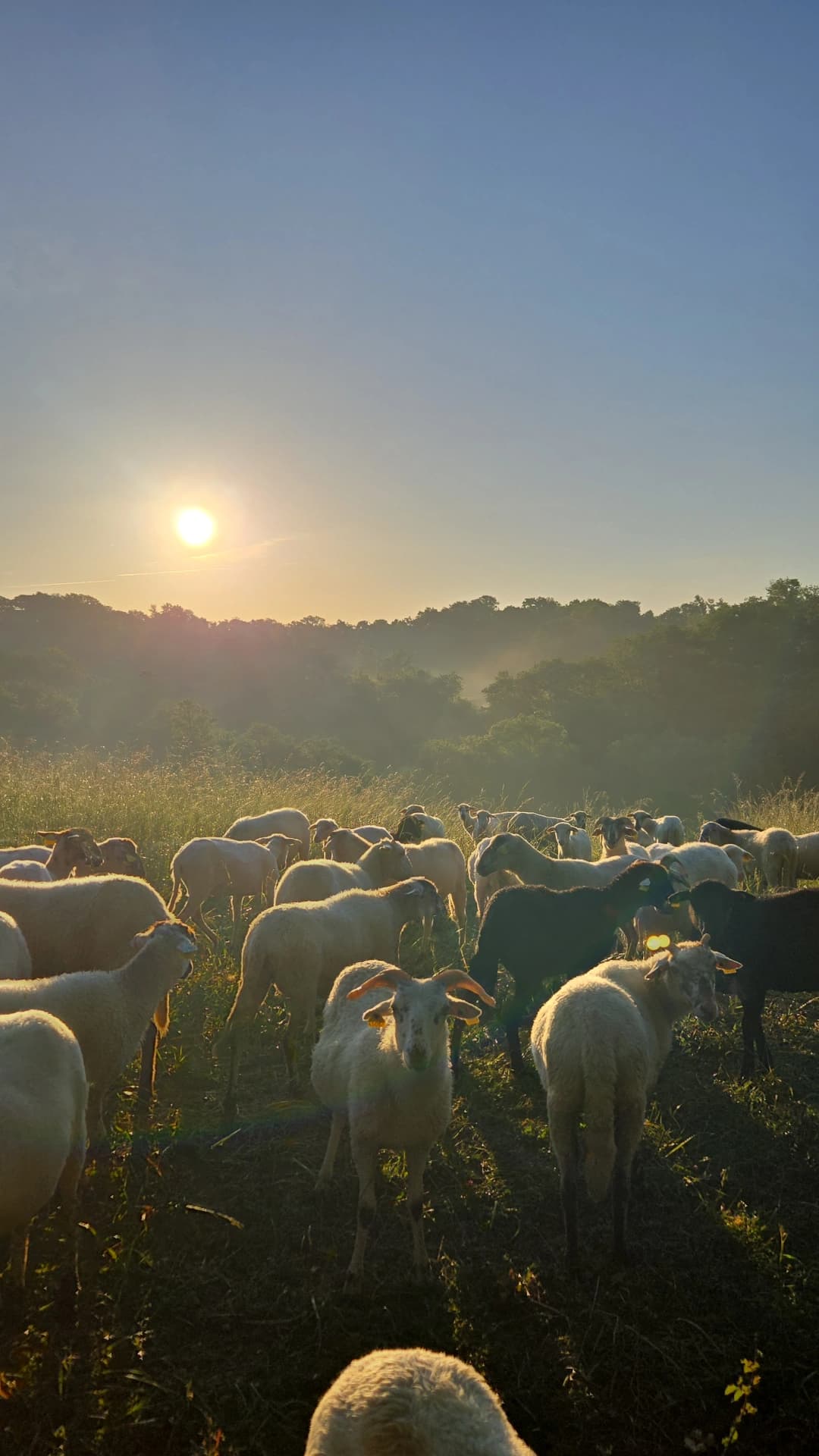 La Ferme de Juliette