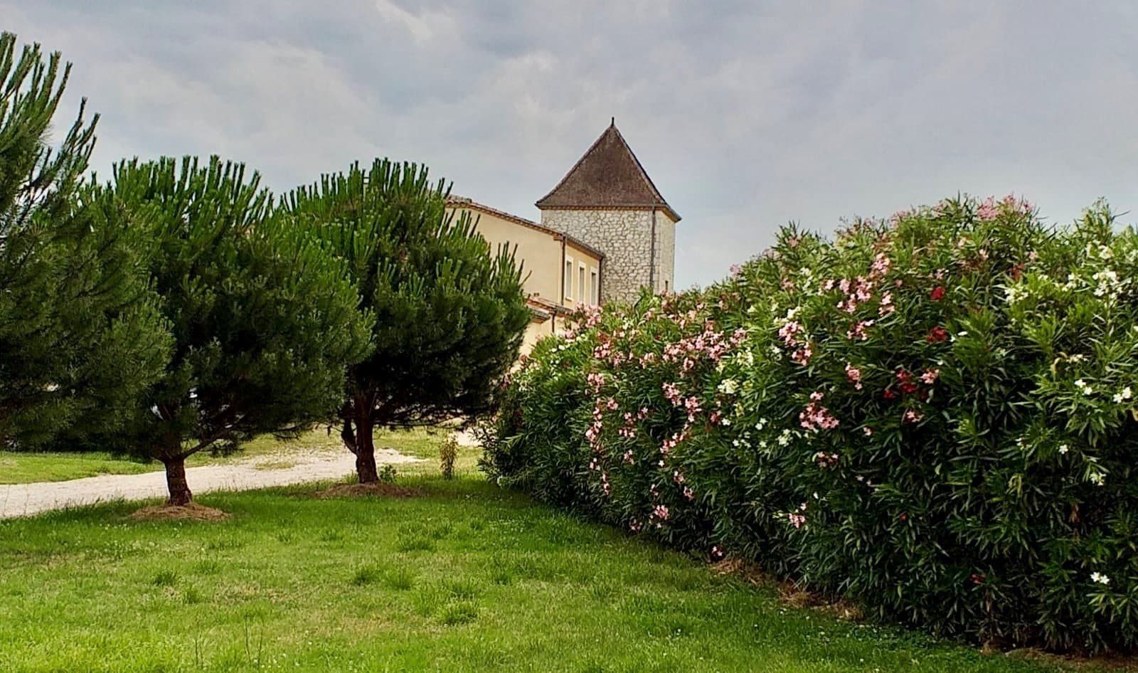 Le Petit Tardonne
