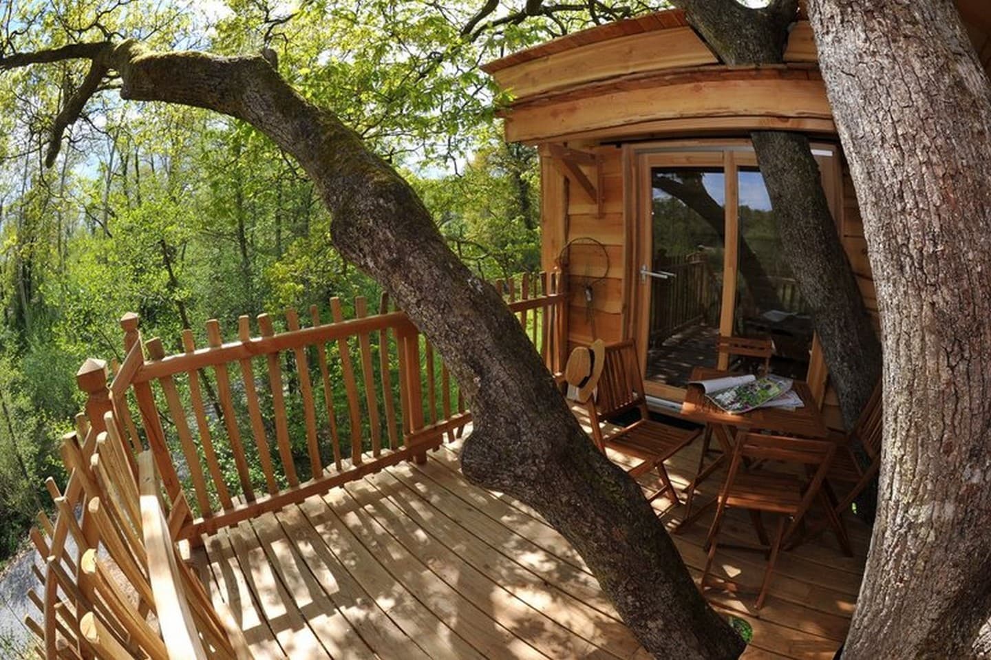 Cabane du vieux chêne