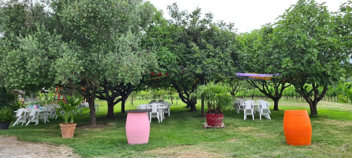 Domaine Les Bertins Manfé Saint Astier 2020
