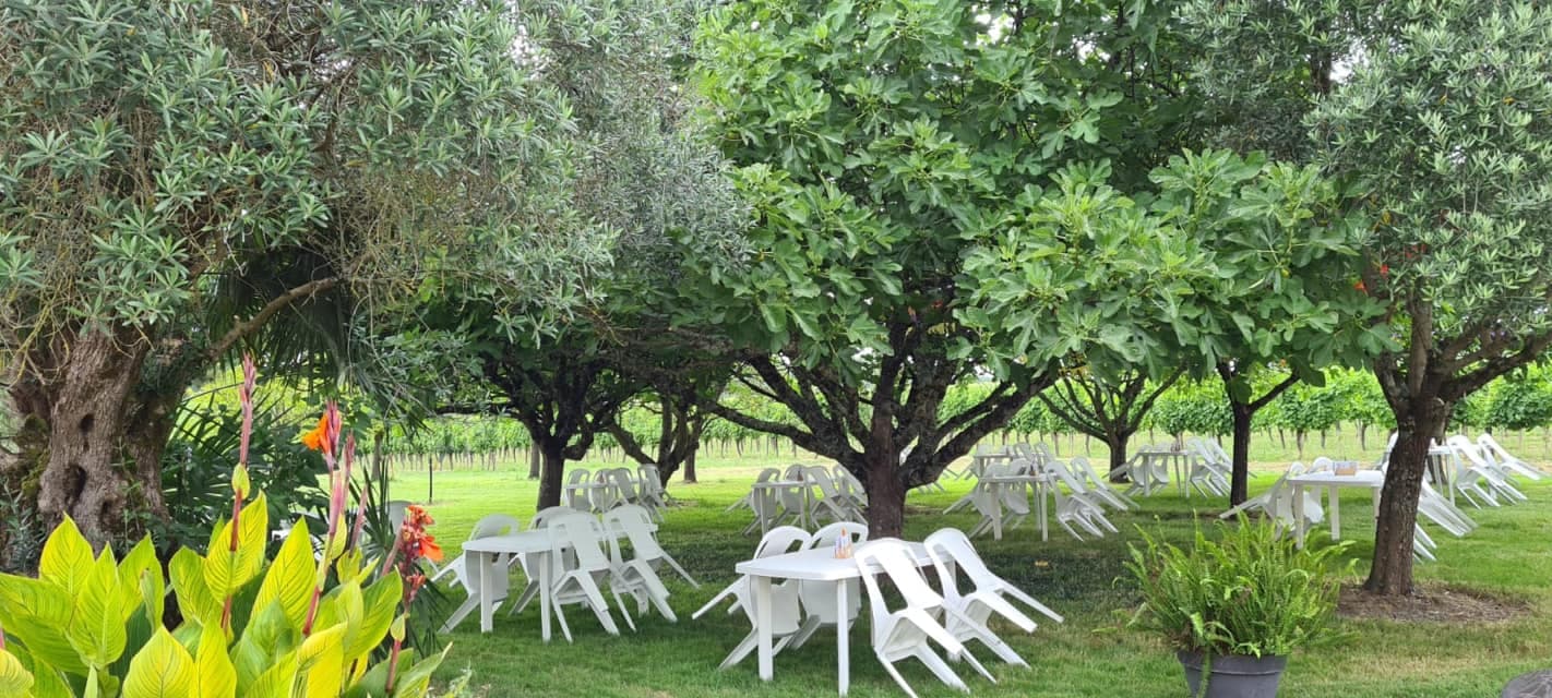 Domaine Les Bertins Manfé Saint Astier 2020