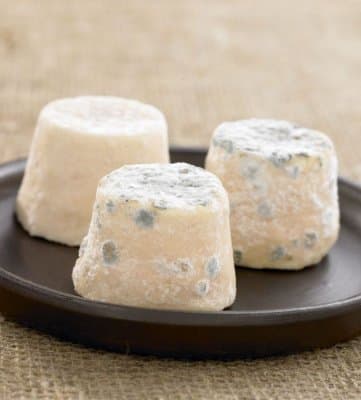 Fromage degustation chemin fleury seigneuret Louzy Thouarsais