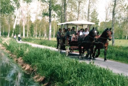 Balade en calèche