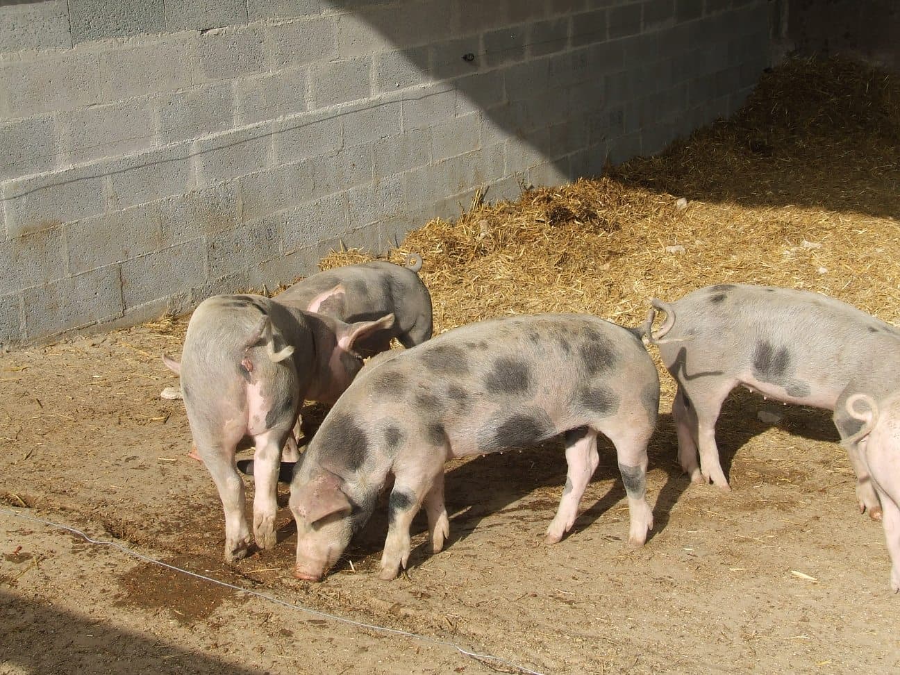 Ferme Mantellerie 2.JPG_1