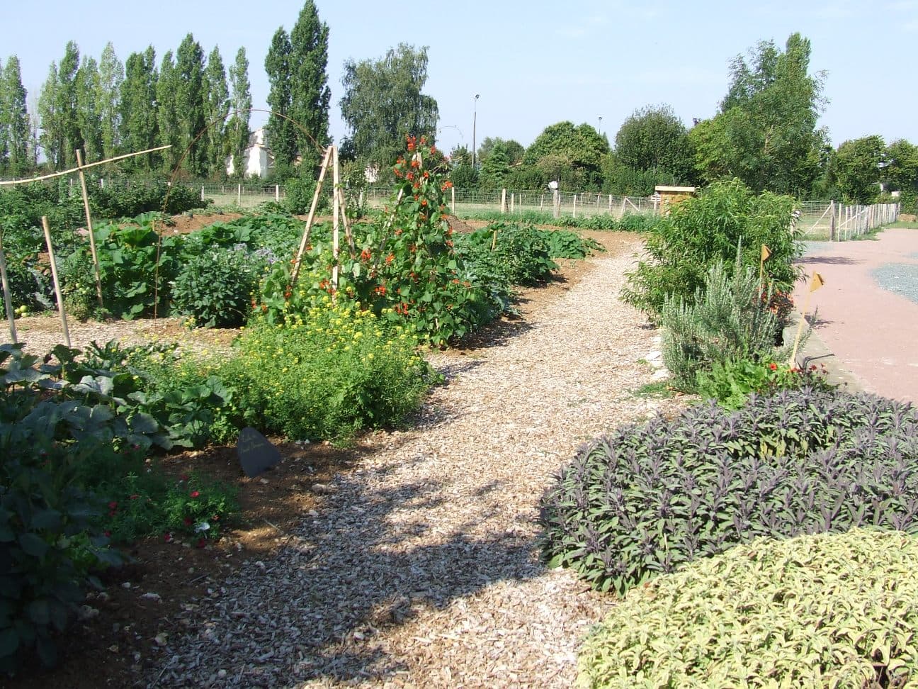 Ferme Mantellerie.JPG_3