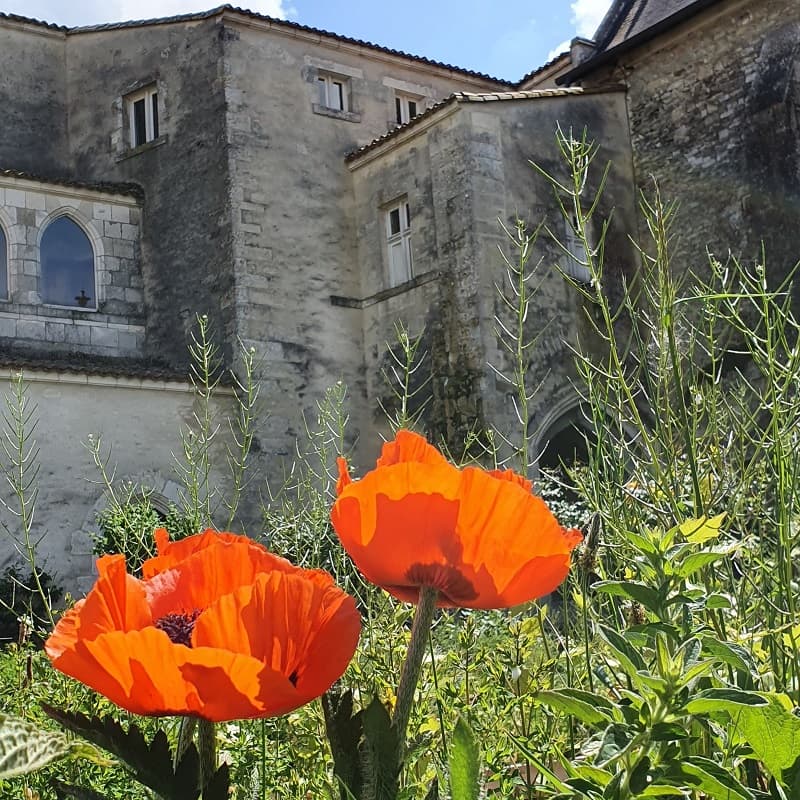 La Commanderie des Antonins vue du jardin médicinal