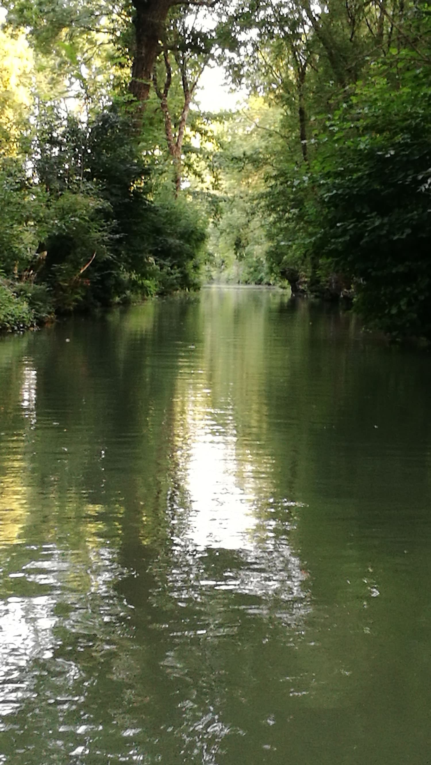 Le marais mouillé