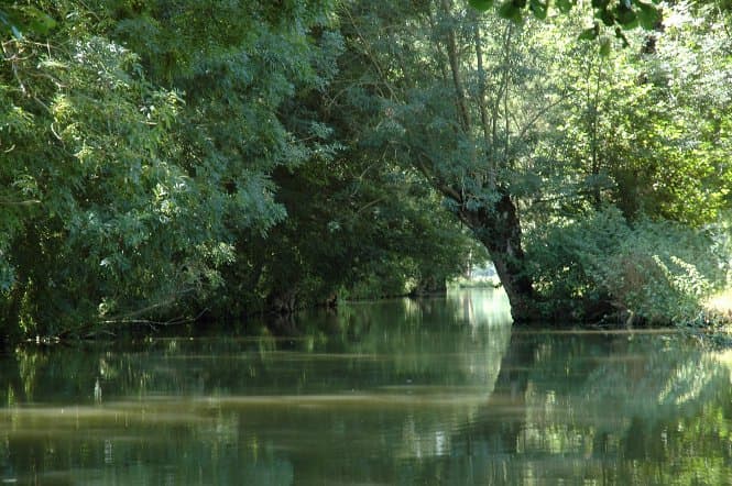 Paysage maraîchin