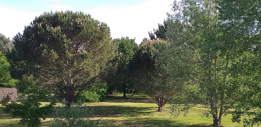 11.Parc (Copier)