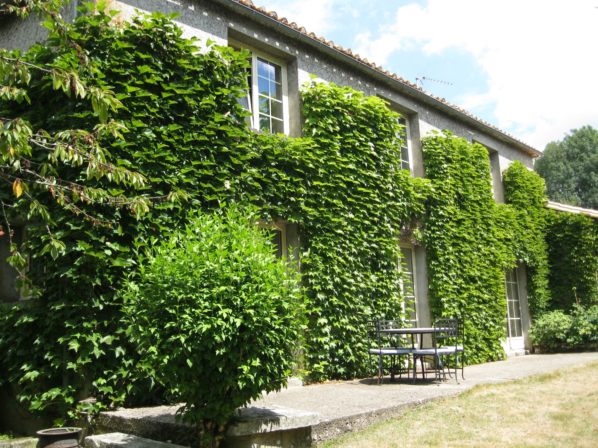 appareil clemence 136.jpg_2