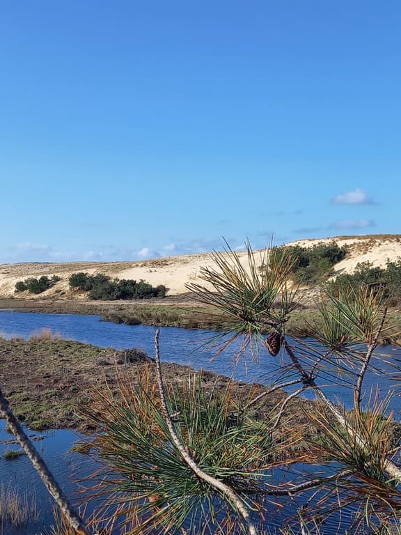 111 Appartement Jades_Moliets_Landes Atlantique Sud