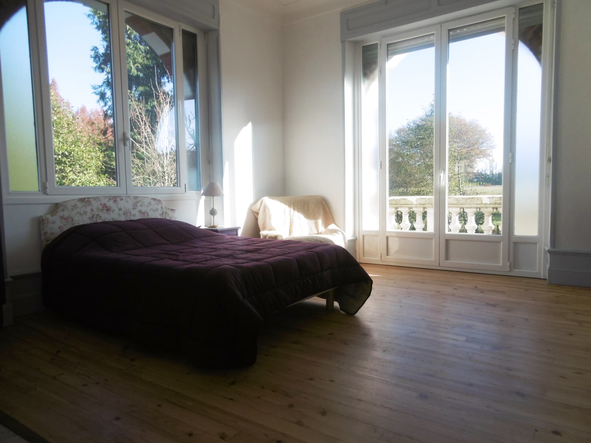 11568-6