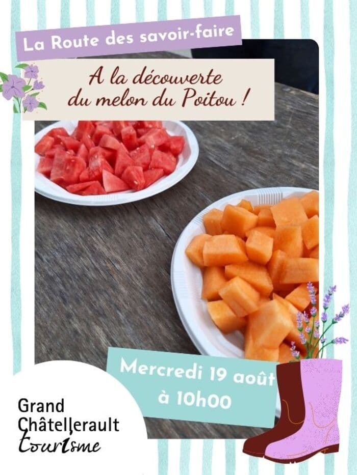 A la découverte du melon du Poitou_1