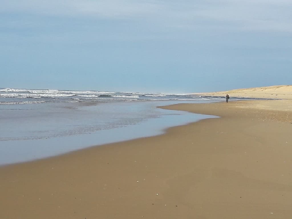 117 Cazaux_Moliets_Landes Atlantique Sud