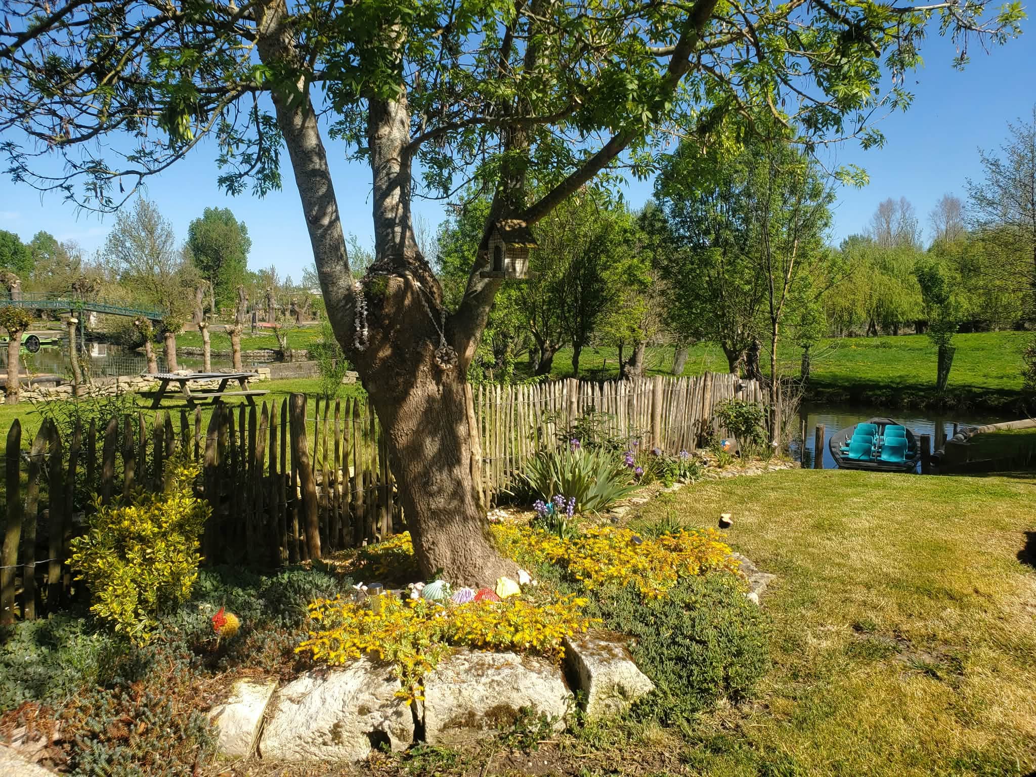Le jardin du gîte La libellule