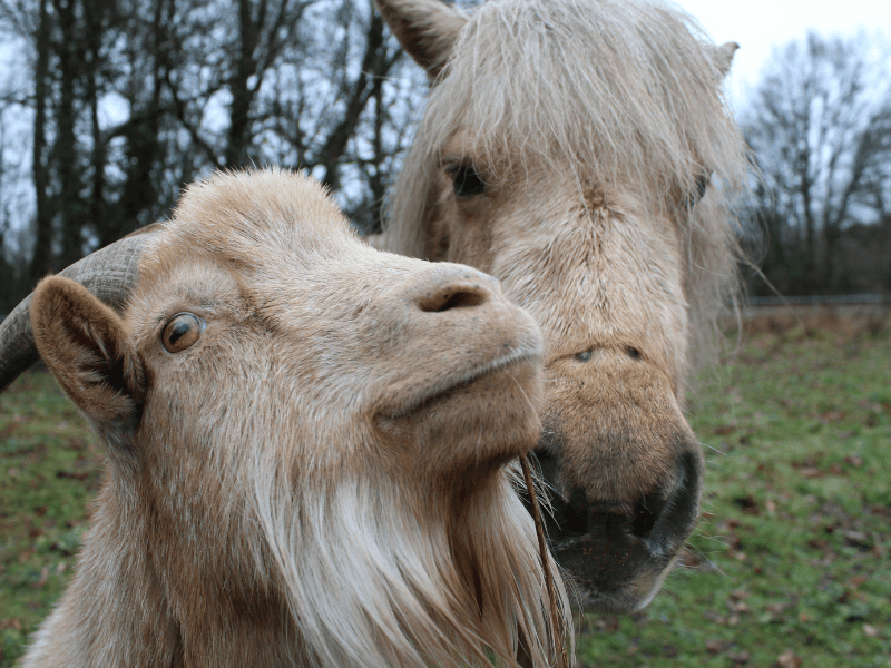 800 x 600 - 12