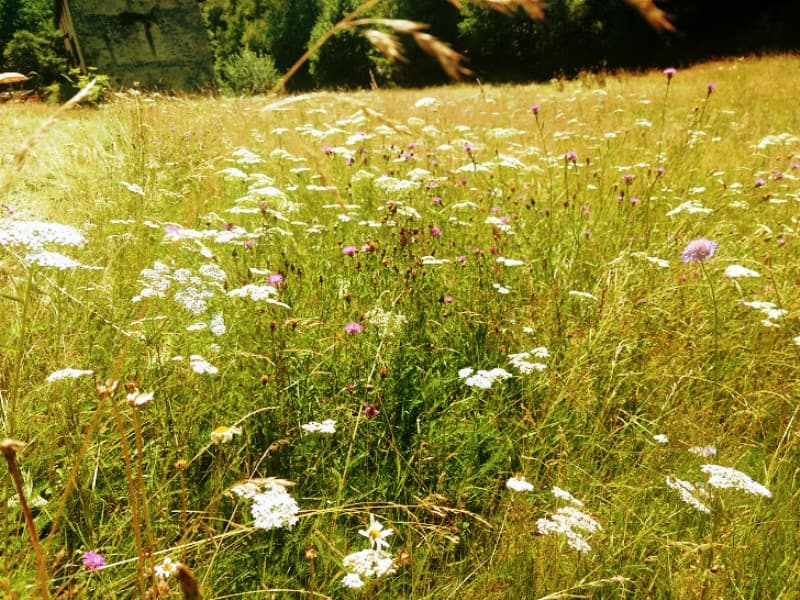 12-Aire naturelle Moulin de Lacombe_18