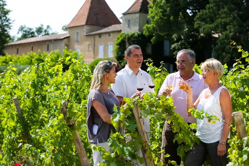 Excursion dans le vignoble  - La Gironde du Sud