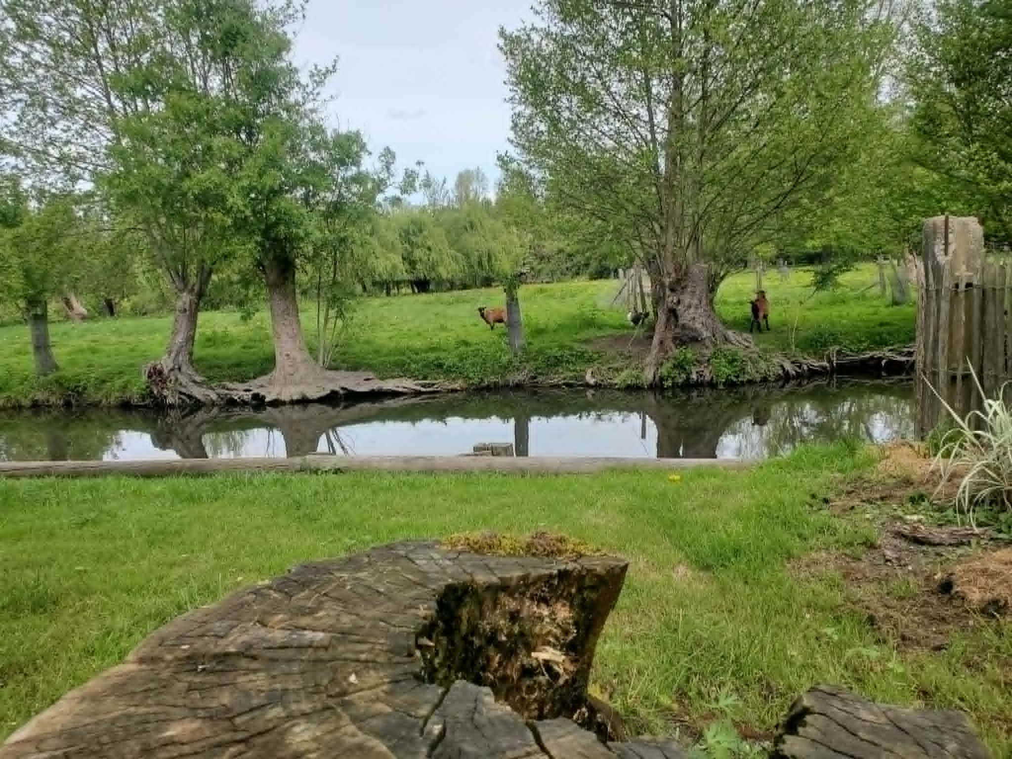 Le jardin du gîte La libellule