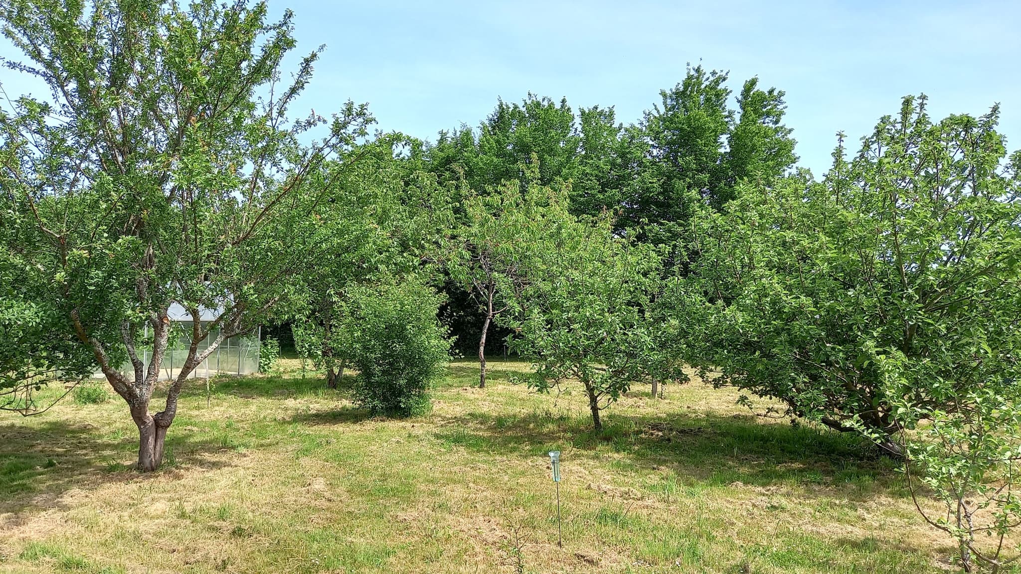 Quelque part sur la terre - jardin
