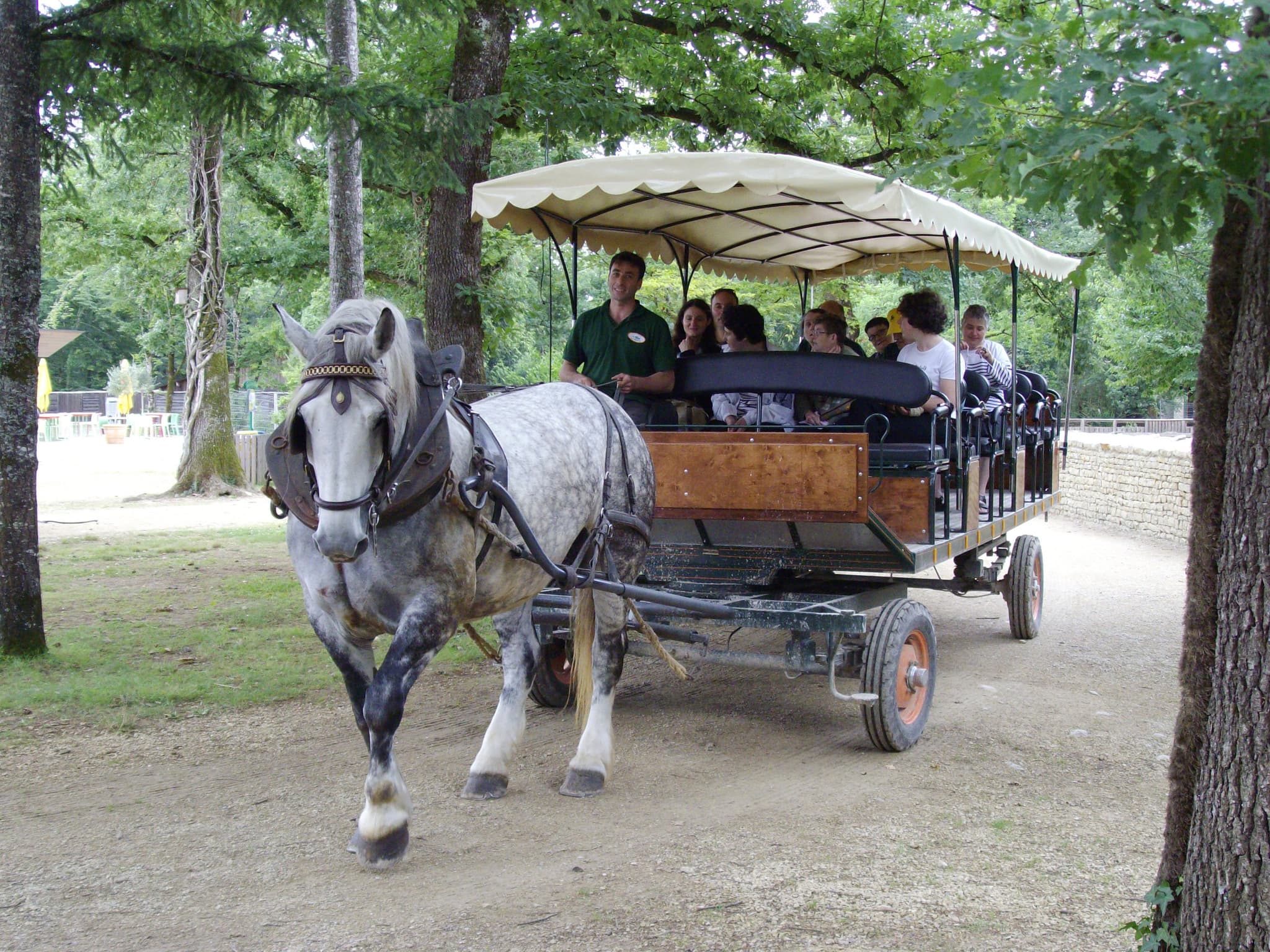 Zoodyssée - Promenade en calèche