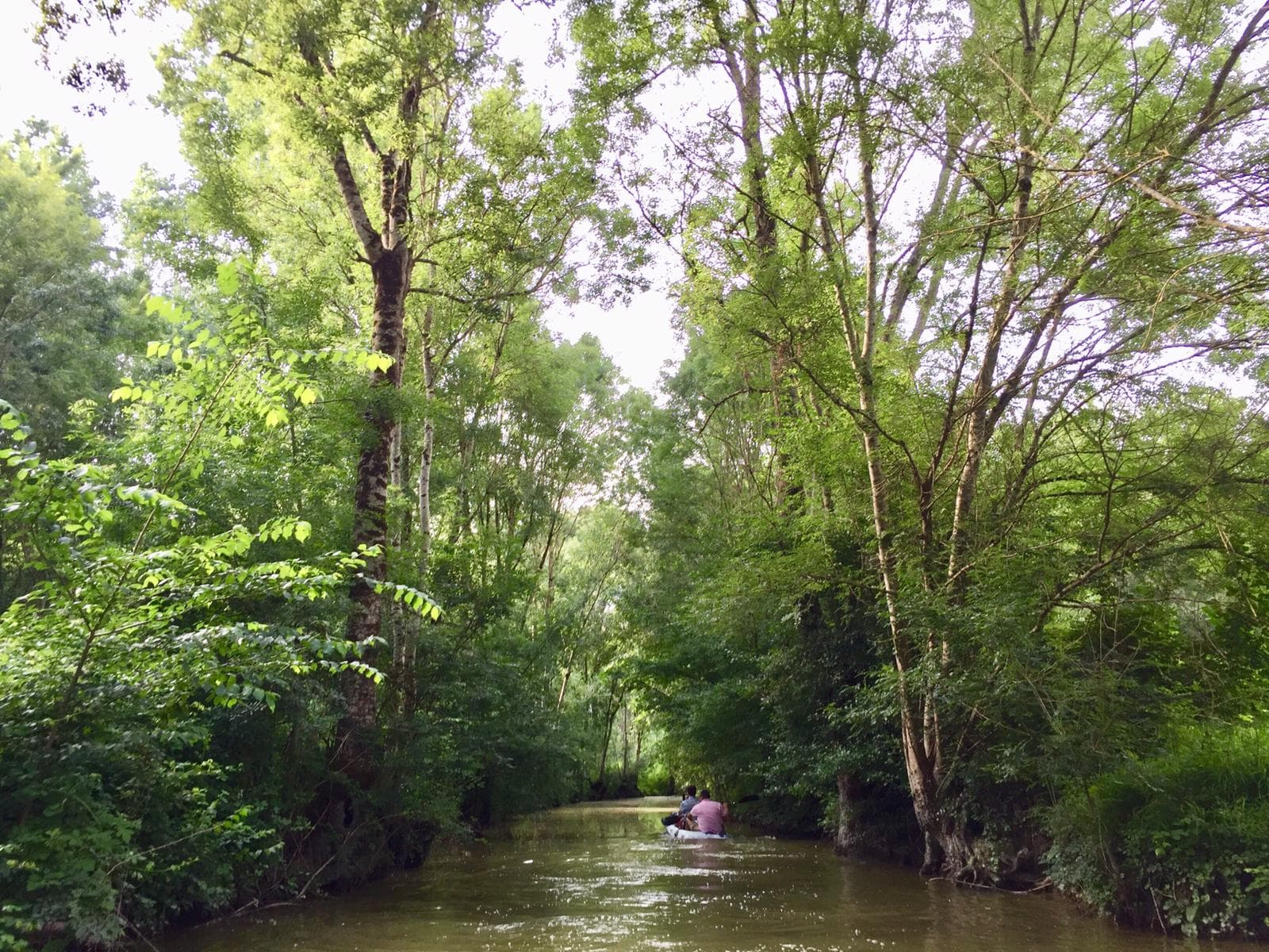Le marais poitevin