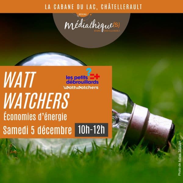 Watt Watchers : atelier autour des économies d'énergie_1
