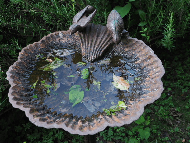 Fontaine