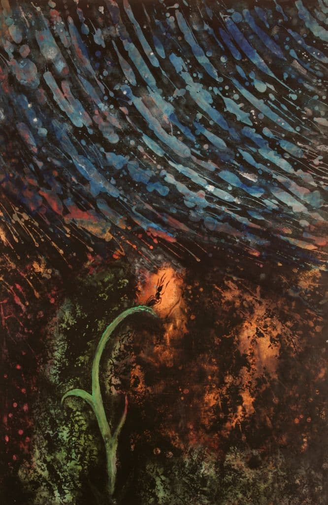 Fourmi sous les étoiles