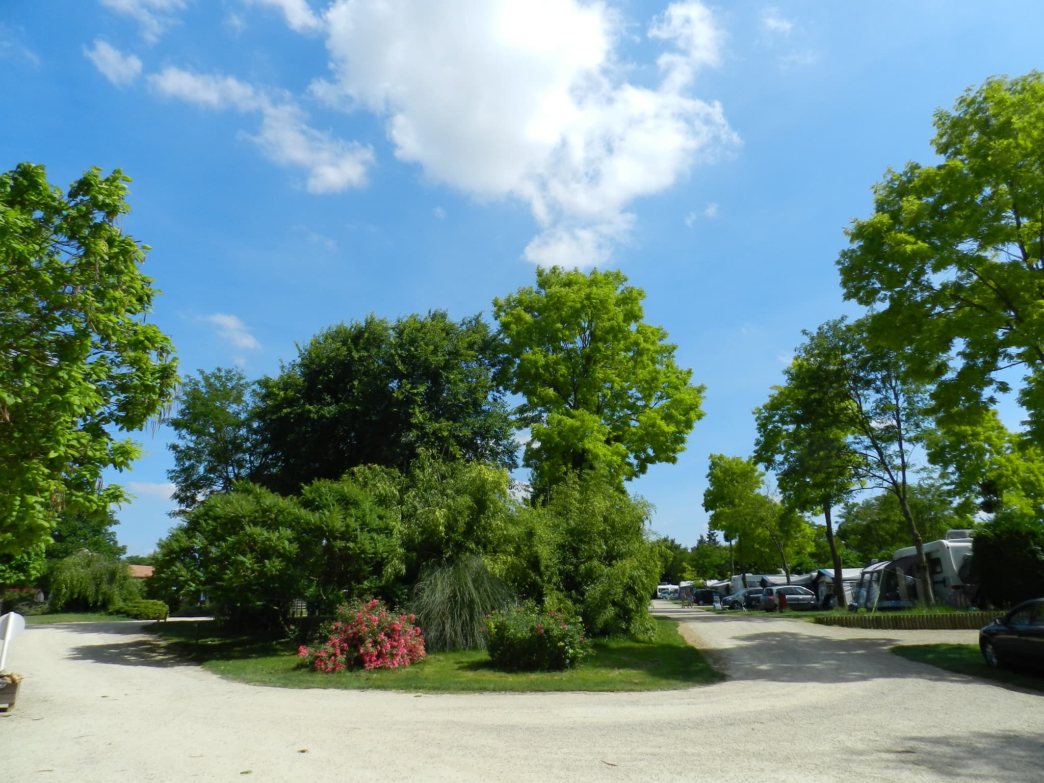 079.JPG_3