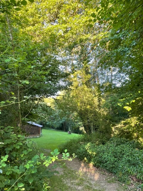 Camping nature et Vézère_3