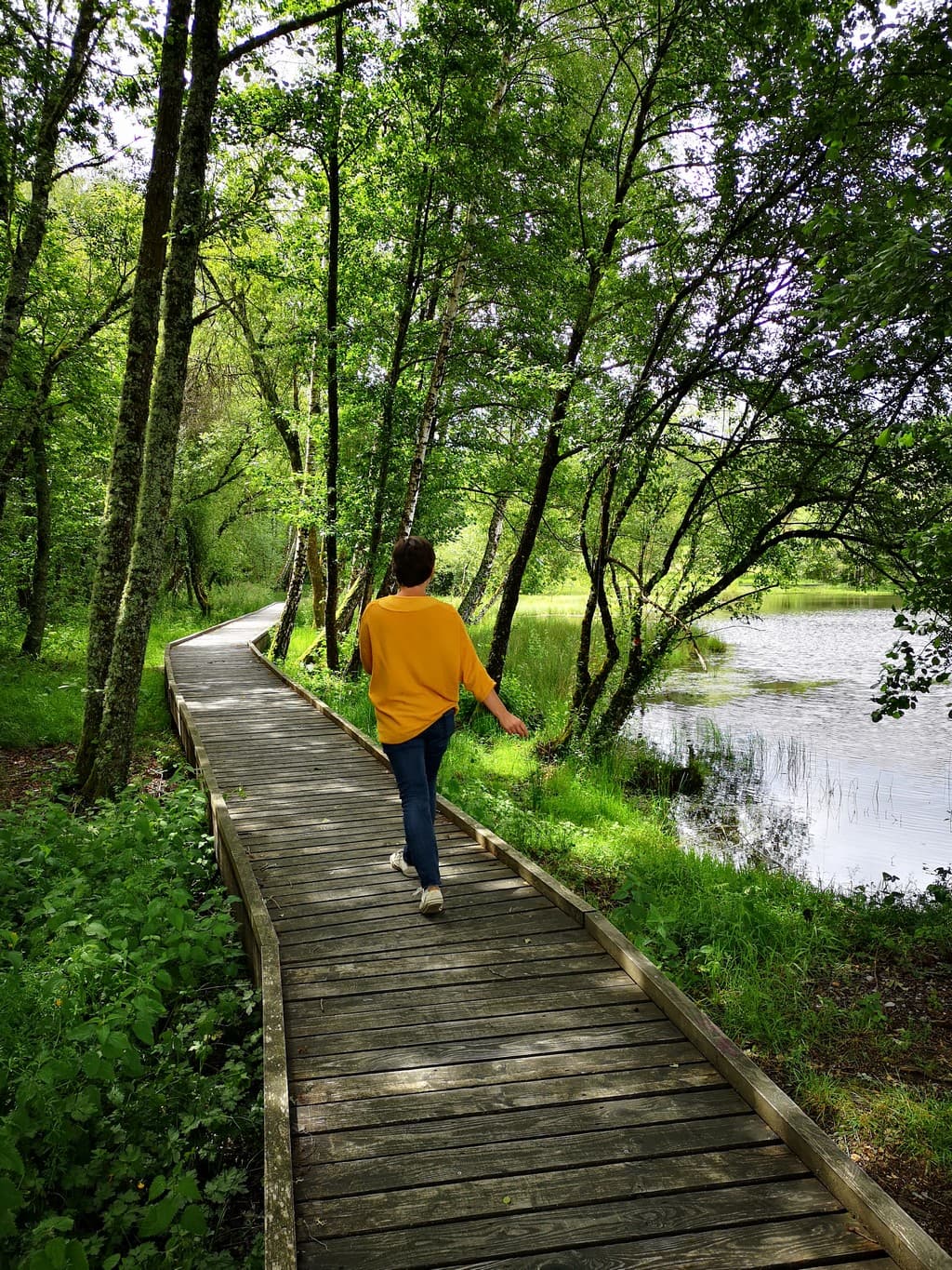 Plan d'eau de l'Enclose_4