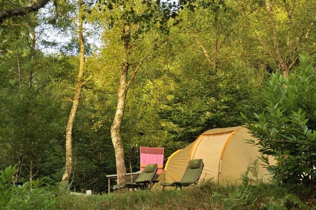 Flower camping la Plage_12