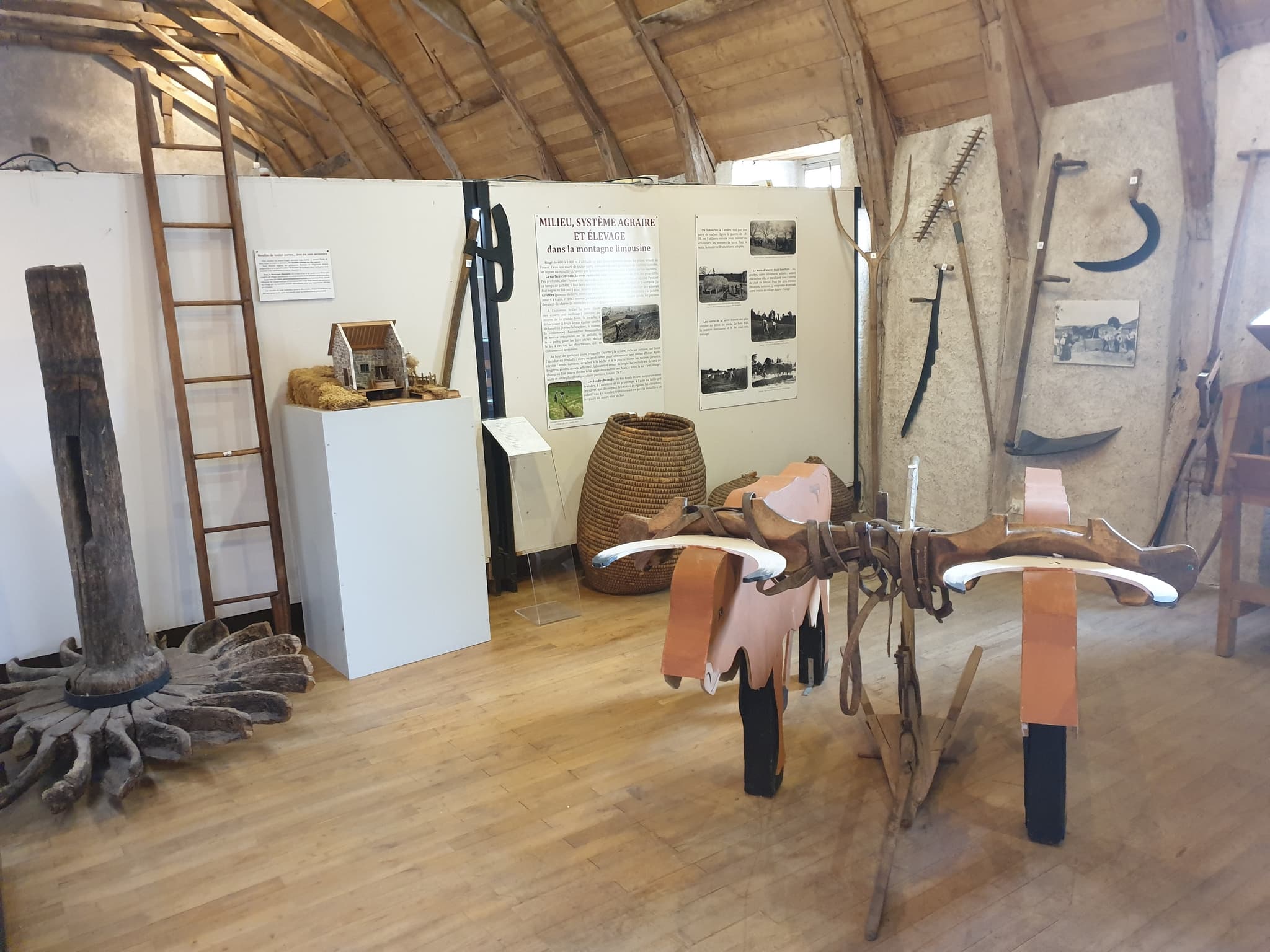 Musée d'Archéologie & du Patrimoine Marius Vazeilles_6
