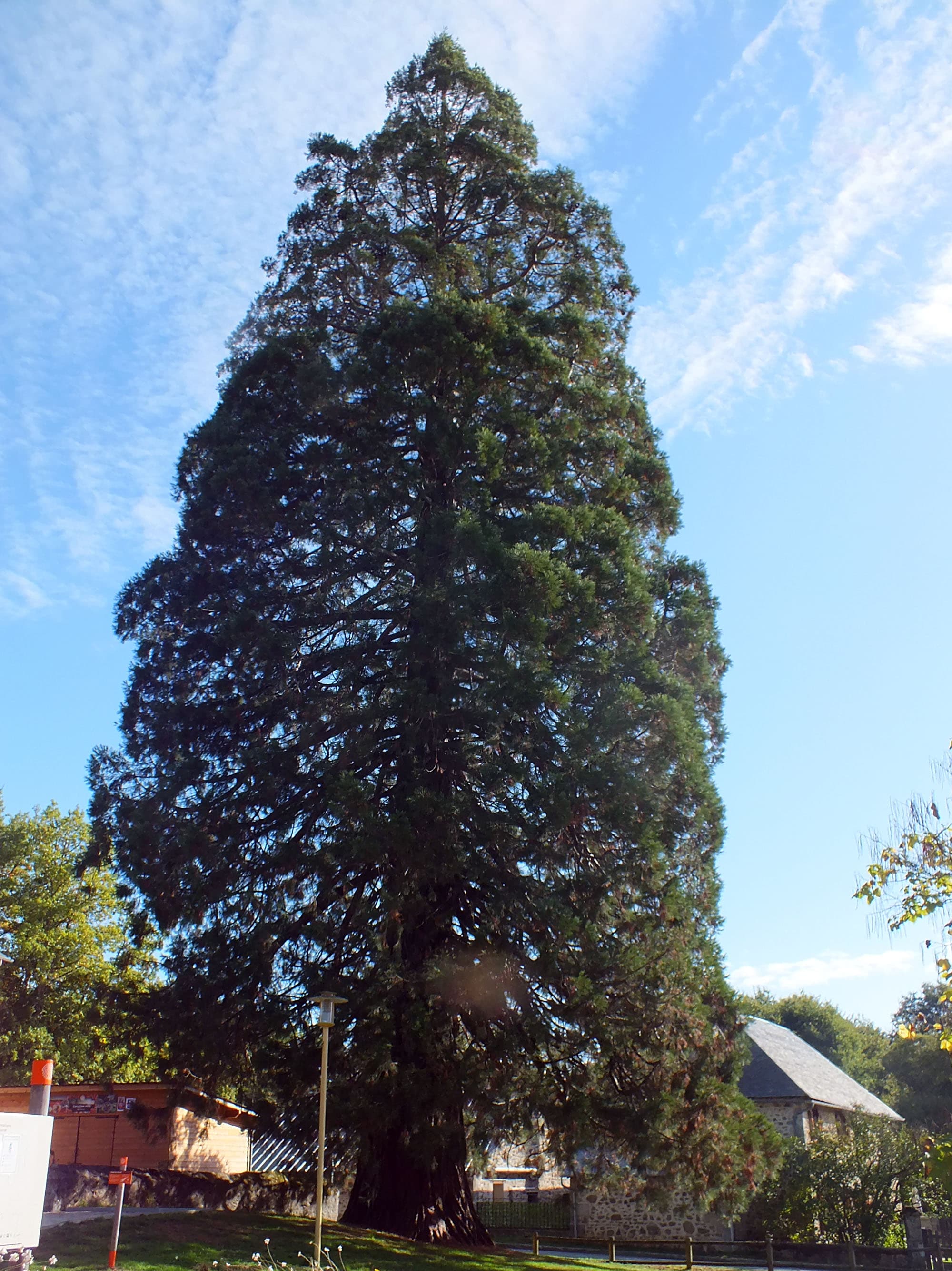 Maison de l'arbre et de la nature_8