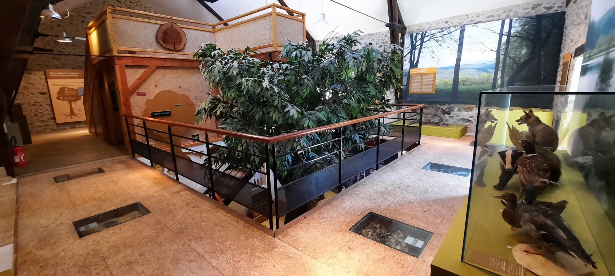Maison de l'arbre et de la nature_2