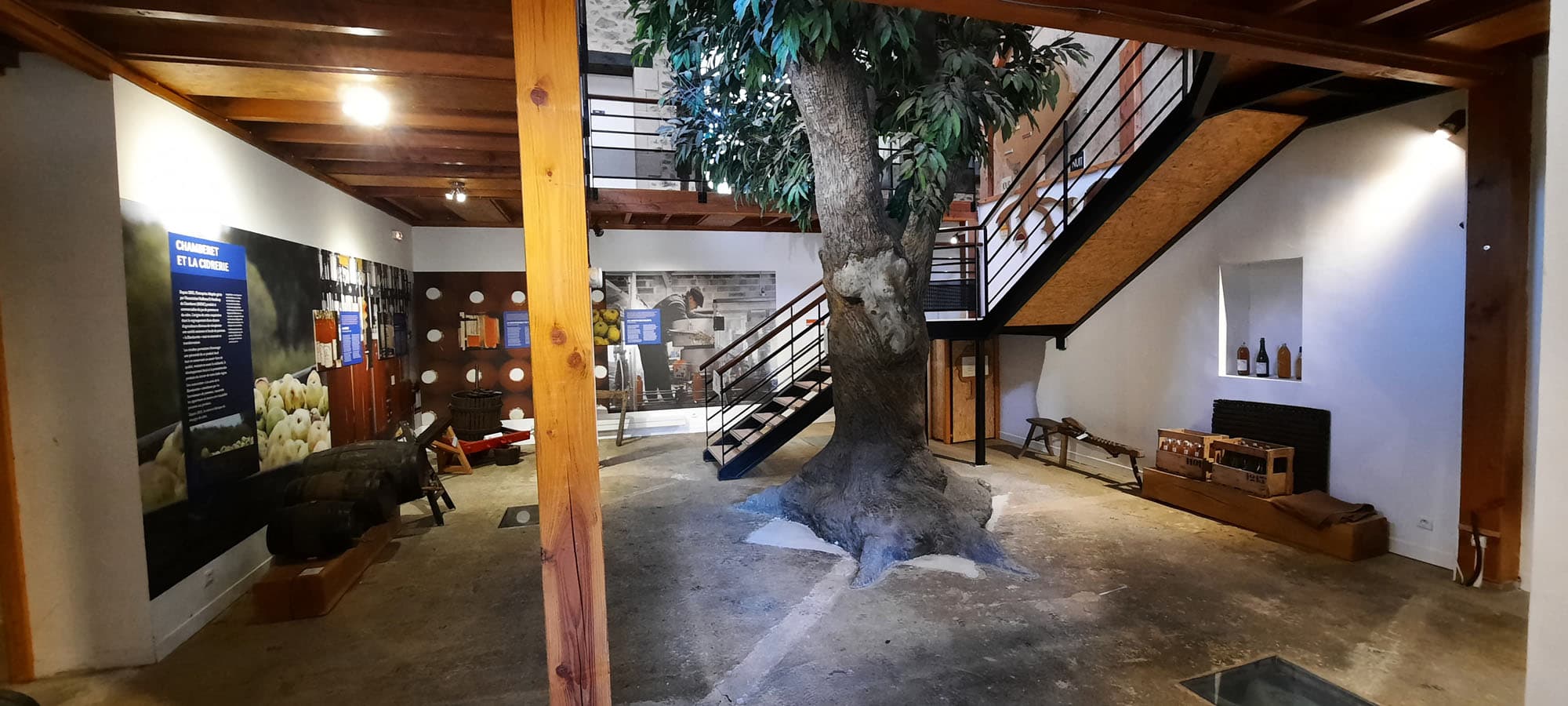 Maison de l'arbre et de la nature_5