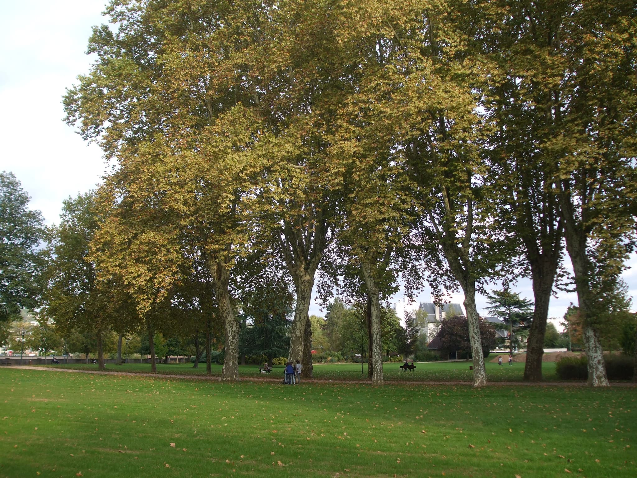 Jardin public de la Guierle_1