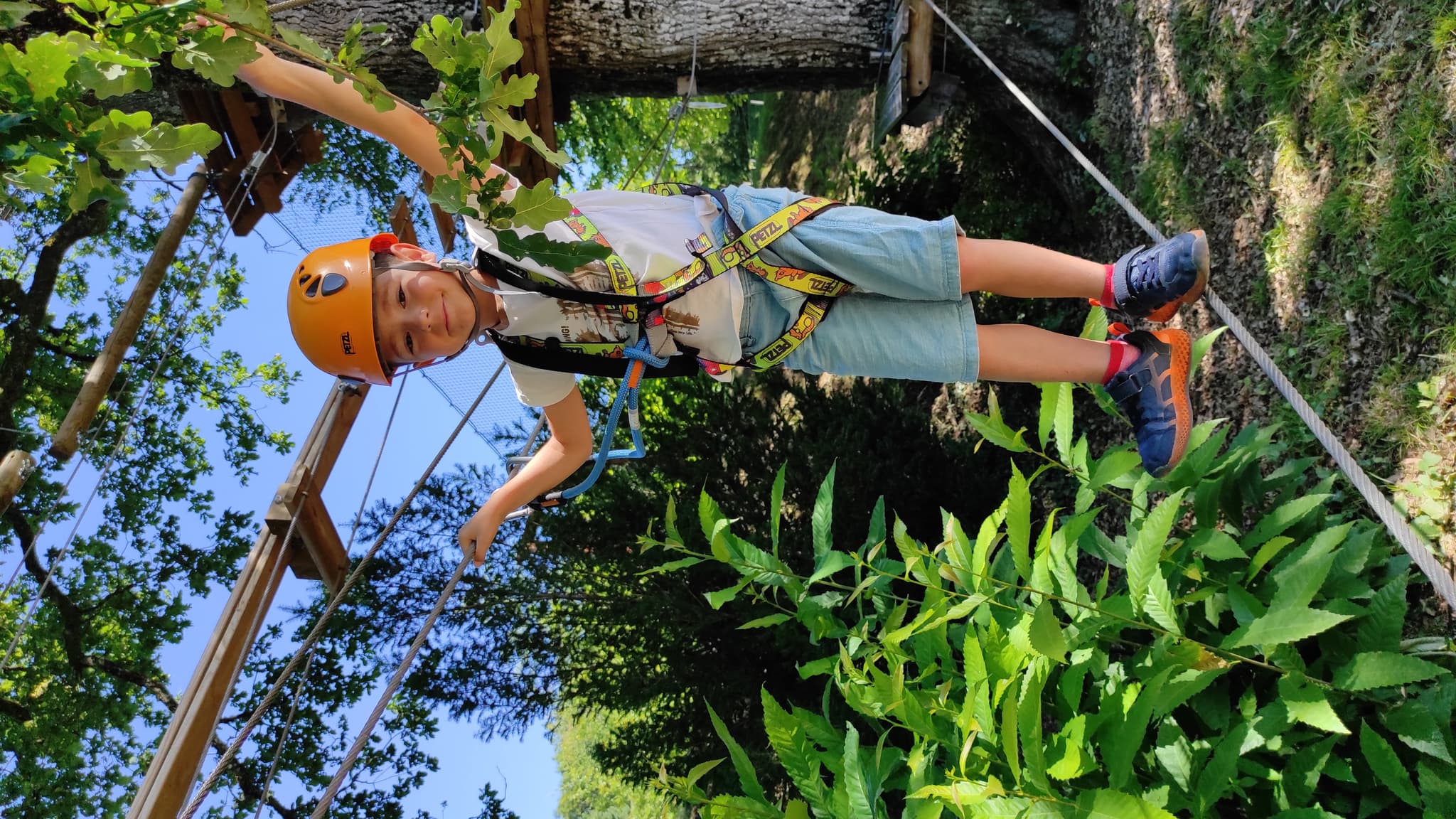 Montoz'Arbres : Parcours acrobatique en hauteur_2