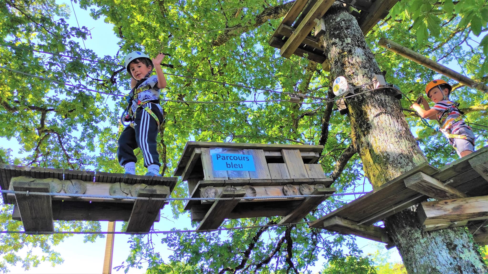 Montoz'Arbres : Parcours acrobatique en hauteur_3